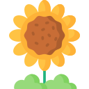 girasol icon