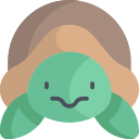 tortuga icon