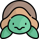 tortuga icon