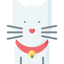 chat 
