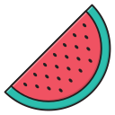 Watermelon icon