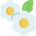 flores icon