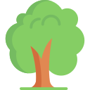 Tree icon