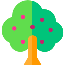 Árbol de frutas icon