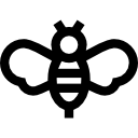 abeja