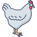 pollo icon