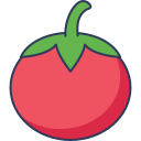 tomate icon