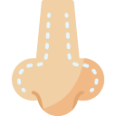 rinoplastia 