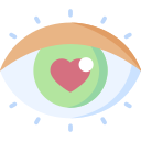 ojo icon