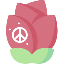 rosa