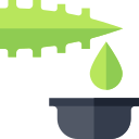 aloe vera icon