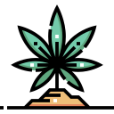 canabis icon