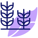 planta de trigo icon