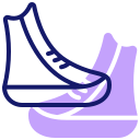 zapatos icon