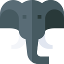 elefante icon