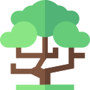 Árbol icon