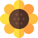 girasol icon