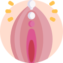 vagina 