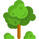 Tree icon