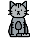 gato icon