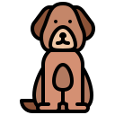 perro icon