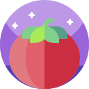 tomate icon