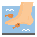 spa de peces icon