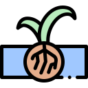 hidroponia icon