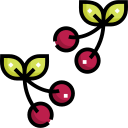 cereza icon