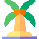 palmera icon