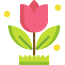 tulipán icon