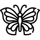 mariposa icon