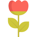 tulipán icon