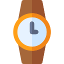 reloj icon