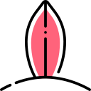 tabla de surf icon