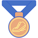 medalla de bronce icon