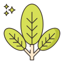 verduras icon