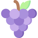 uvas icon