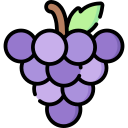 uvas icon