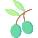 olivos icon