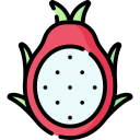 dragon de fruta icon