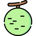 cantalupo icon