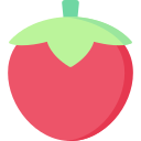 tomate icon