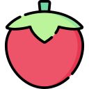 tomate icon