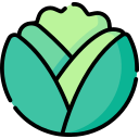 coliflor icon