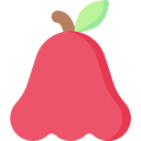 manzana rosa icon