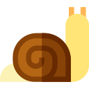 caracol