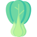 bok choy icon