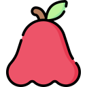 manzana rosa icon