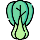 bok choy icon